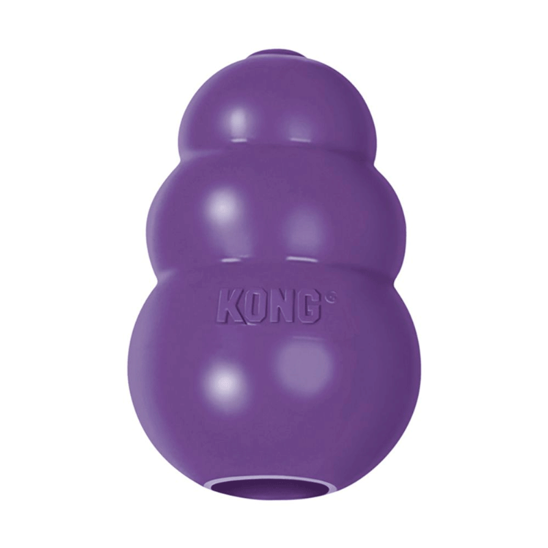kong senior small kong senior small